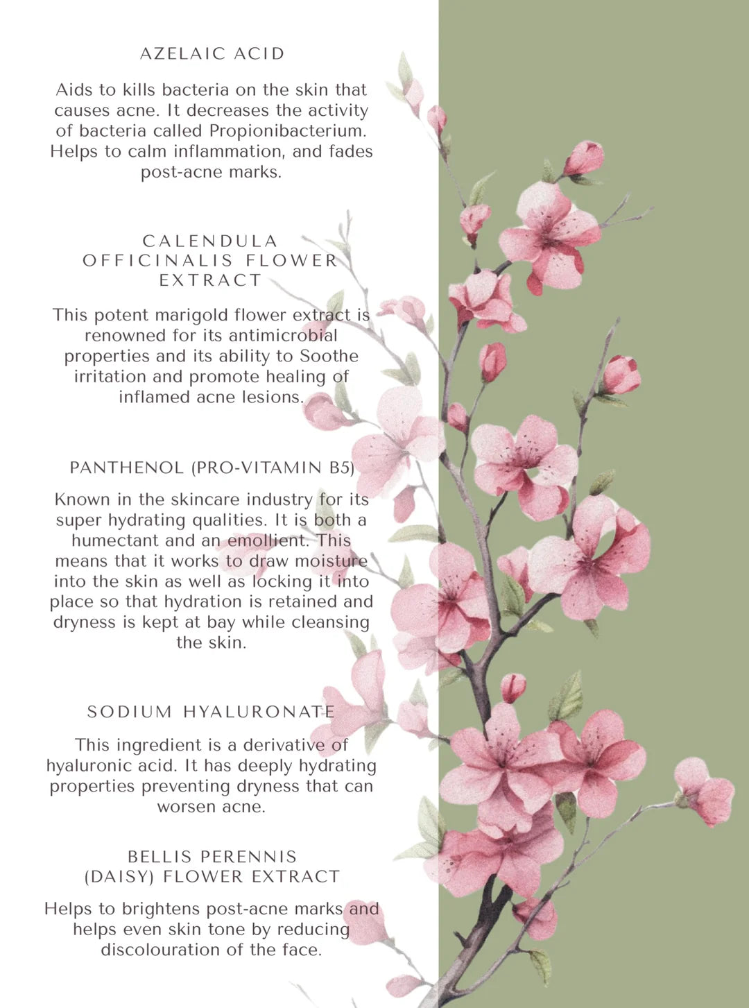 Pro-Radiance Acne Cleanser