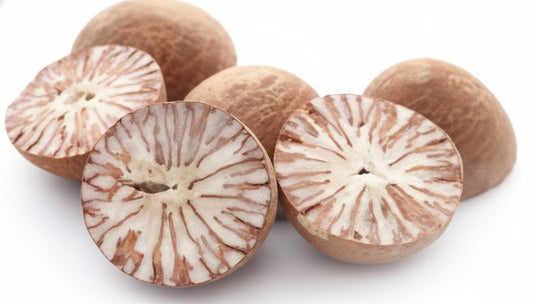 Areca Nut (Betel Nut) – Export Quality | Bulk Supply