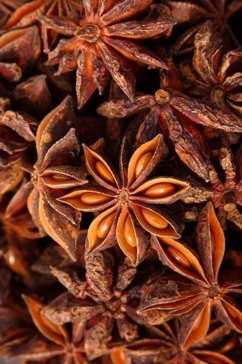 Star Anise – Premium Whole Spice | Export Quality