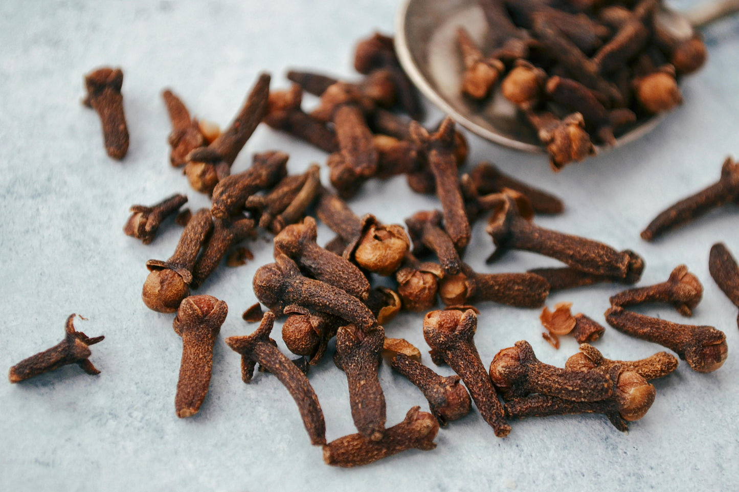 Cloves – Whole Spice | Export Quality Bulk Supply